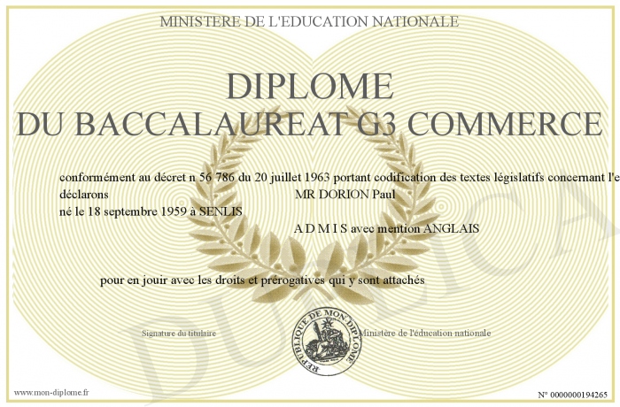 diplome universitaire commerce